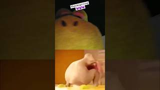 The Thanksgiving Turkey #plush #meme #funny