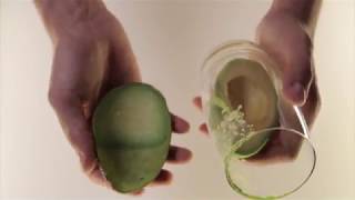 How To Peel an Avocado the Fastest Way