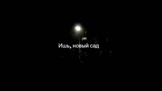 Андрей Субботин - Простые радости земли. Афонаризмы. Глава шестьдесят пятая. Дополнительная #shorts