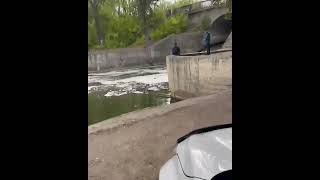 На ЖИГУЛЯХ Заехали прямо в водоем, чтобы половить рыбу.