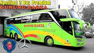 Bus Gunung Harta Premium | Hunting 2 Bus Premium @ Kantor Gunung Harta Patimura Malang