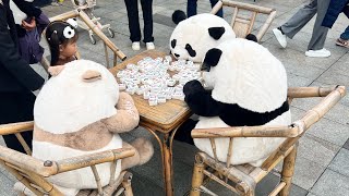 Chengdu - 🐼 Miasto niedźwiedzi bambusowych i kandydatów na żony/mężów 10-11.11 #panda #china