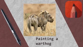 Painting a warthog in Autodesk Sketchbook