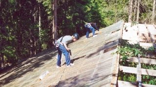 Sveriges enda skyddade skog - ”Skogstaket” vid Gårdsjön i Stenungsund ca 1992