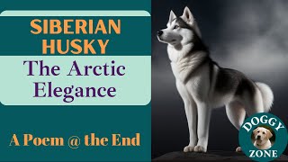 Siberian Husky | Everything You Need to Know About This Beloved Dog Breed | Dog Lovers