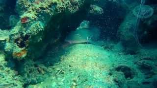 Scuba Diving at Local Islands Ao Nang Krabi Thailand