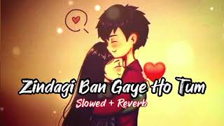 💕Zindagi Ban Gaye Ho Tum💕[90's lofi - Slowed+Reverb] Kasoor | Udit narayan | Alka yagnik😍 Full Song