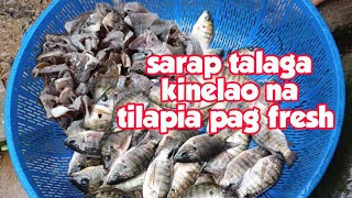 sarap talaga Ng kinilaw  tilapia fresh