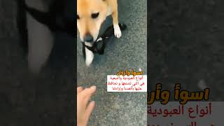 أسوأ أنواع العبودية والخضوع  #shorts