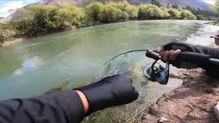 CUSCO-UNA TREMENDA TRUCHA EN EL RIO VILCANOTA Pesca en el Valle Sagrado de los Inkas.