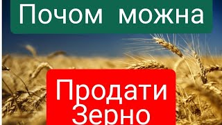 Ціни на зерно для Одноосібника і малого Фермера