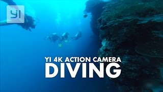 Diving in sunshine #YICamera | YI 4K