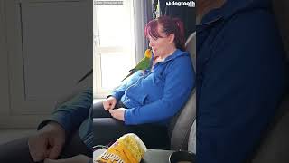 Parrot Feeds Owners Crisps - So They Give Them Back ‘Like Mummy Bird' || Dogtooth Media