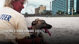 Grand Strand Humane Society