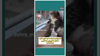 لما يعمل فيه اللي مكفيه عشان متطلبيش منه حاجه 😂