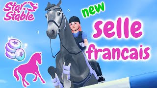 Buying a SELLE FRANCAIS Horse on Star Stable!