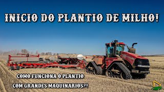 INICIO DO PLANTIO DE MILHO