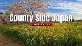 Peacefur Park  Walking Tour -4K JAPAN- Country Side Japan