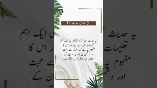 محبت انصار: ایمان کی علامت""انصار سے محبت اور نفاق کی پہچان""ا#quotes