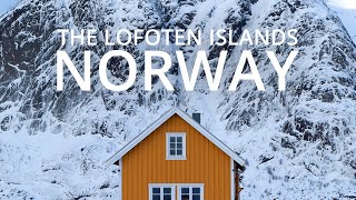 Photographing in Norway | Lofoten Landscape Photography - Winter 2022