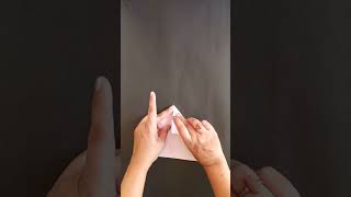 How to make paper plane #craft #short#papercraft#plane#trending#viralshorts