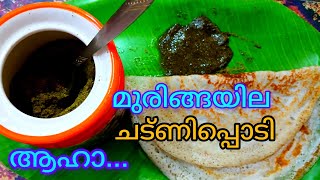 ഏതിനോടൊപ്പവും അനുയോജ്യമായ ഒരൈറ്റംതന്നെ..സംശയല്യ.