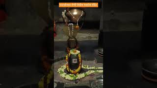 पाताळेश्र्वर लेणी येथील महादेव मंदिर 🚩🙏 ॐ नमः शिवाय #mahadev #omnamahshivaya #harharmahadev #shorts