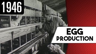 Egg production (1946)