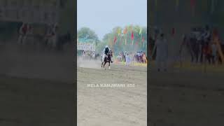 neza bazi || tent pegging || horse Riding