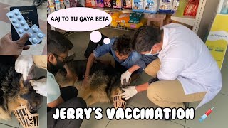 Jerry's Vaccination Day | Bahot Maza Aaa Gaya 😂 | Vlogs Of Kuldeep