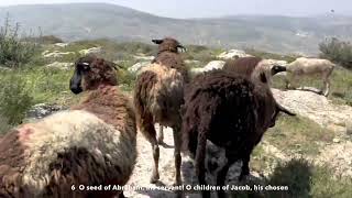 One minute Israel; Mount Kabir, Elon Moreh