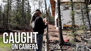 Catching Trespassers & Thieves with My Security Camera    Reolink Spirit Forest - S6 -Ep#22