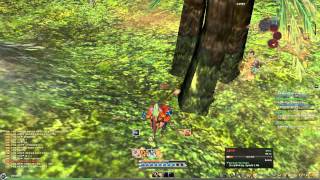 BLade and Soul - Kung Fu Master 07 [Full HD]