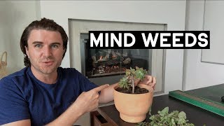 Why Your Mind Is Full Of Weeds