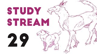 Study Stream 29