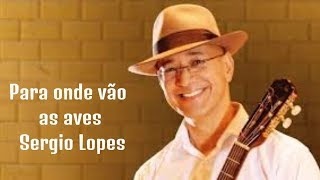 Para onde vão as aves - Sergio Lopes