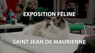 Exposition Féline Internationale - Saint Jean de Maurienne