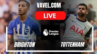 brighton vs tottenham live score