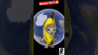 Banana Cat On Google Earth 😱 #shorts #youtubeshorts #viralshort #bananacat