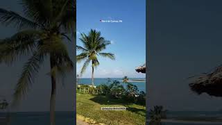 Barra de Cunhaú rua de cima #nordeste #praia #beach