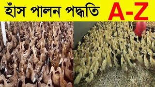 হাঁস পালন পদ্ধতি A-Z || Duck farming in Bangladesh || Farming House BD