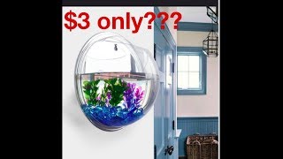 Fish tank for only $3 from the wish app