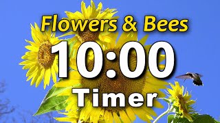 10 Minute Timer | ⏰ Bell Alert | No Music | Sun Flowers Hummingbird | Big Numbers