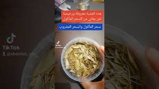 عشبة واحدة رخيصة وموجودة تخلصك من سحر المأكول