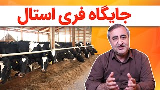 جایگاه فری استال free-stall barns