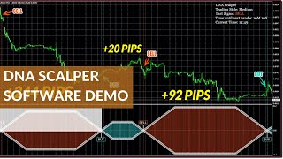 DNA Scalper Software Demo - Best Forex Scalping Indicator