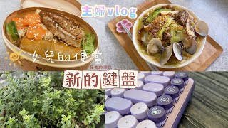 戶外生態缸 近三個月/收到紫色禮物/便當菜 鐵板豆腐 /陽台種植 (V170)