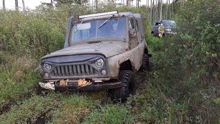 УАЗ 469 и УАЗ Патриот. Прорываемся по болотам в поисках пропавшего эндуриста. OffRoad