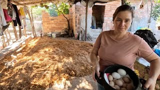 RETOMAMOS OS TRABALHOS NO BARRACO ! liu e Márcia,  vida na roça.