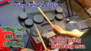 Trống Yamaha dd75 - Đẳng cấp nhưng giá rẻ